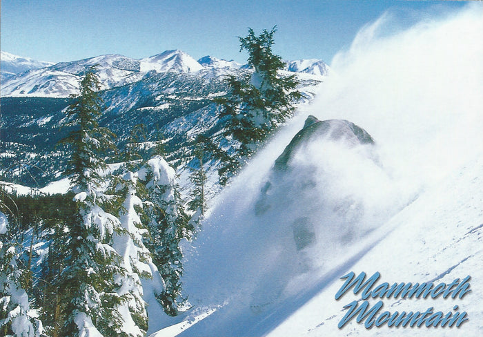 Mammoth Winter Snowboarder -QTY=50