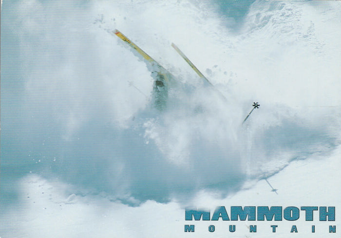 Mammoth Wipeout Postcard-QTY=50