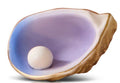 Nora Fleming Mini Oyster A435 Shuck Yeah