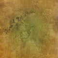Rustic Rapture