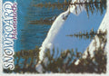 Snowboard Mammoth Postcard-QTY=50