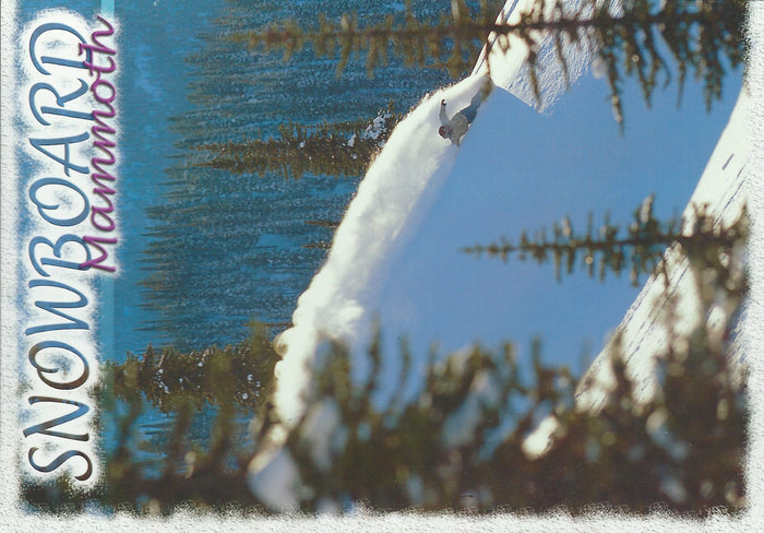 Snowboard Mammoth Postcard-QTY=50