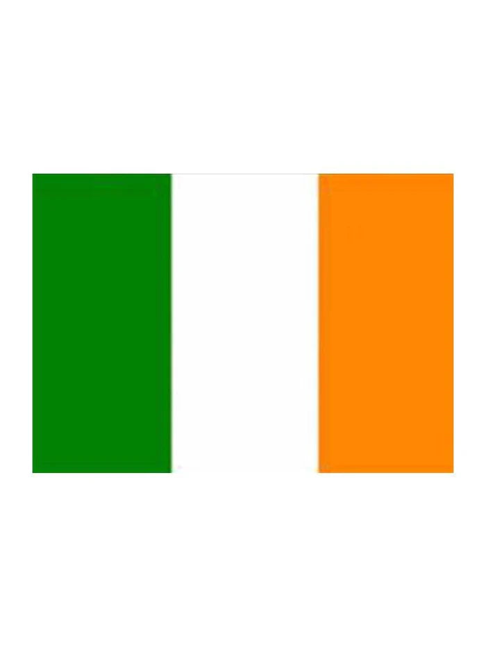 St. Patrick's Day Irish Flag (5ft x 3ft) - thefancydress.co.uk