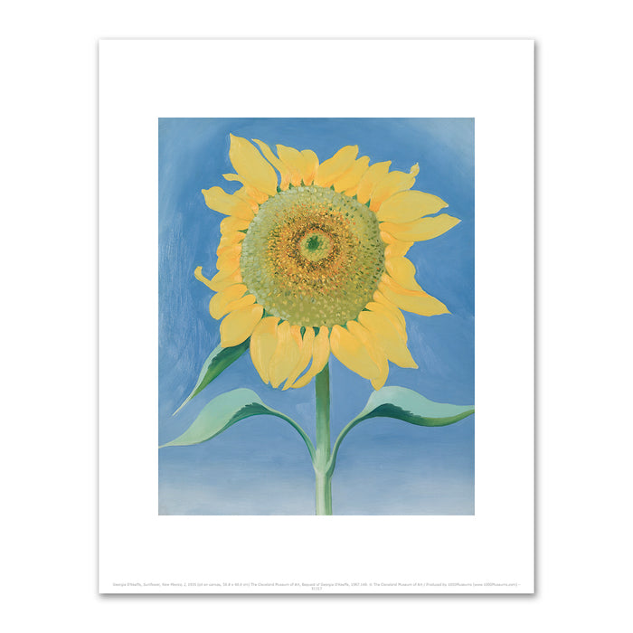 Georgia O'Keeffe, Sunflower, New Mexico, I, 1935, The Cleveland Museum of Art. Fine Art Prints in various sizes by Museums.Co