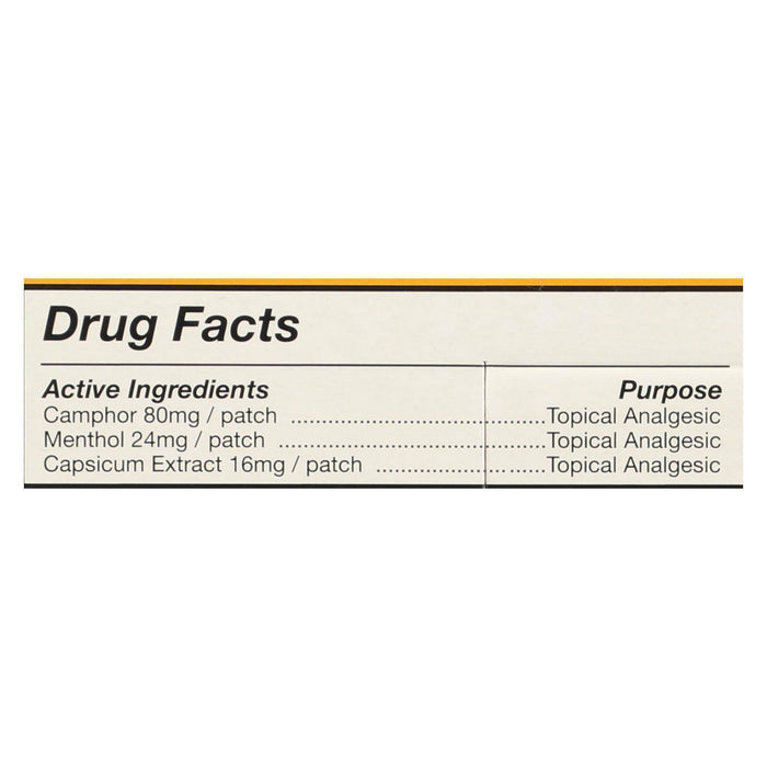 Tiger Balm Large Pain Relief Patches – Case of 6 × 4‑pk
