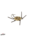 Umpqua Flats Crab Umpqua Mottled Tan / 04 Flies Rivers and Glen Trading Co