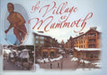 Village At Mammoth Postcard-QTY=50