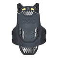 VPD System Torso