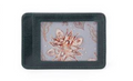 Works Credit Card Wallet, Evergreen