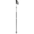 X North Ski Poles