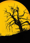 DoorFoto Door Cover Yellow Full Moon