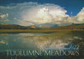 Yosemite Meadows Postcard-QTY=50