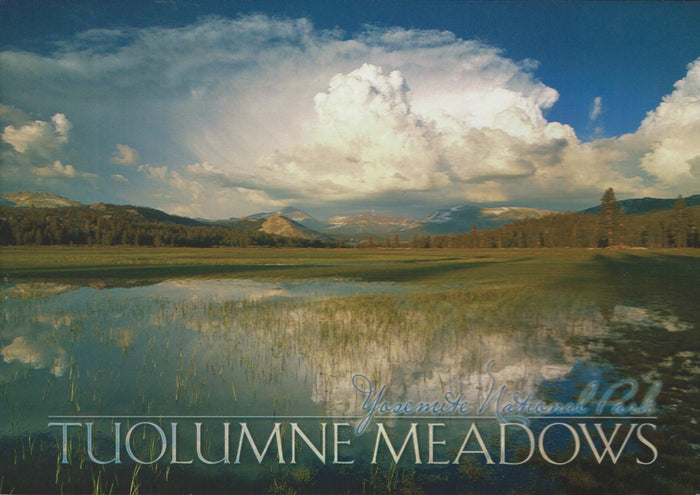 Yosemite Meadows Postcard-QTY=50